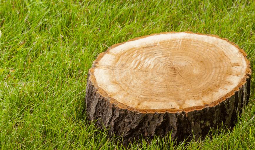 STUMP GRINDING